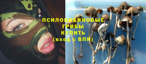 стаф Волоколамск