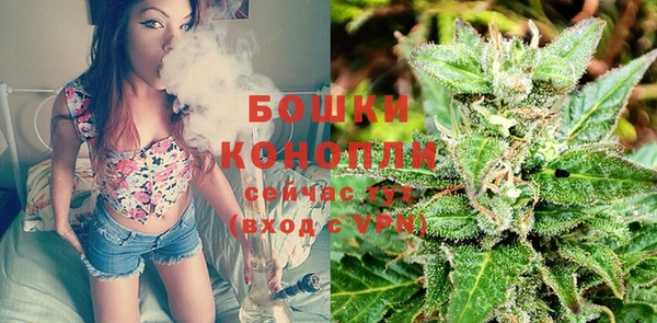 стаф Волоколамск