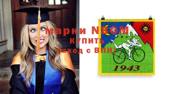 стаф Волоколамск