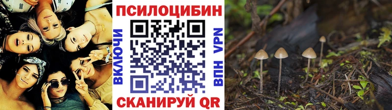 Псилоцибиновые грибы Cubensis Лысьва