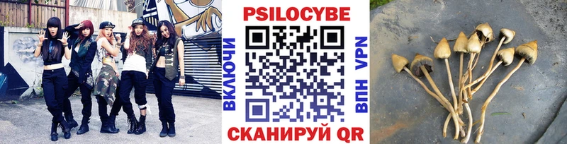Галлюциногенные грибы мицелий  Купить закладки  Лысьва 